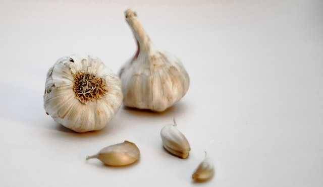 berbagai fungsi bawang putih (unsplash.com/@sanjaidosajh)