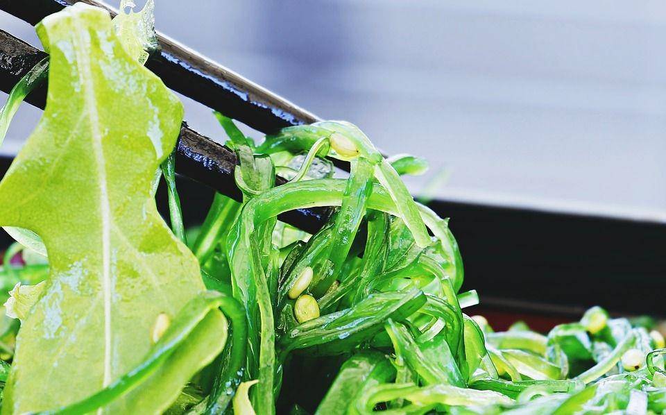 Ilustrasi chuka wakame khas Jepang (pixabay.com/pixel2013)