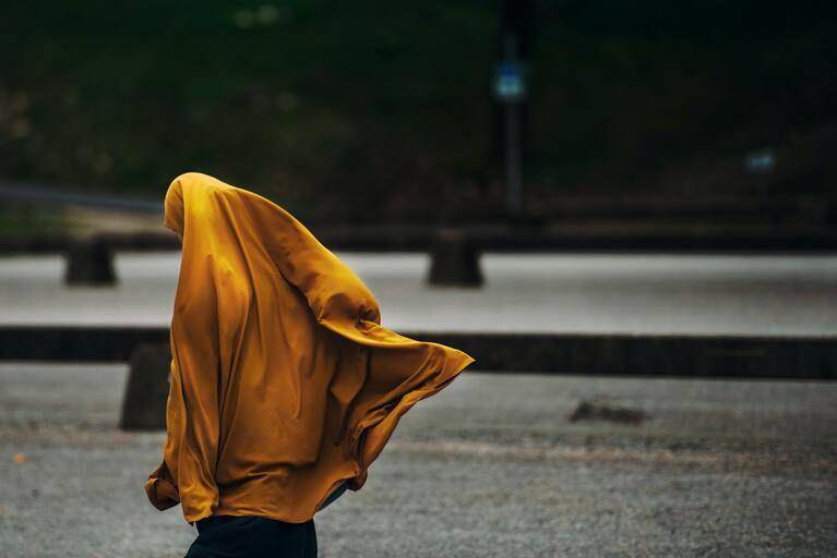 ilustrasi wanita muslimah (unsplash.com/🇸🇮 Janko Ferlič)