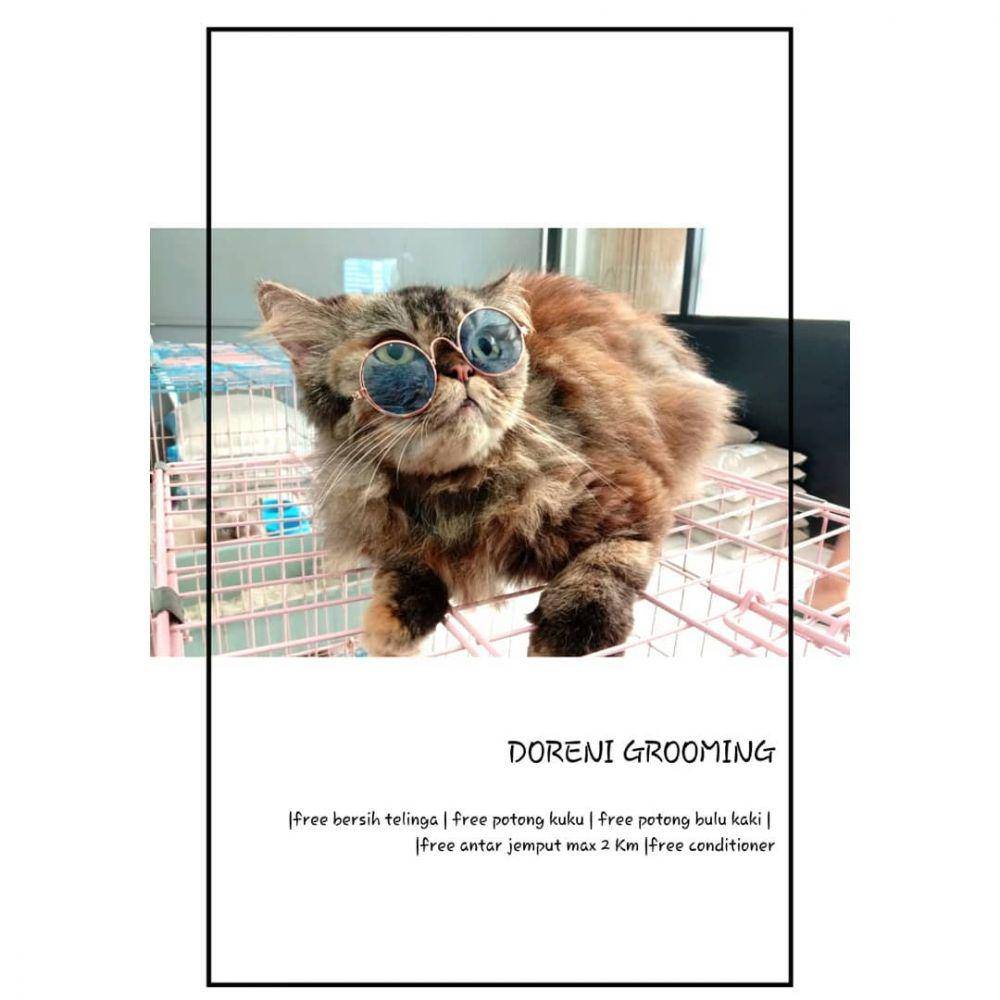 Doreni Petshop. (instagram.com/dorenipetshop)