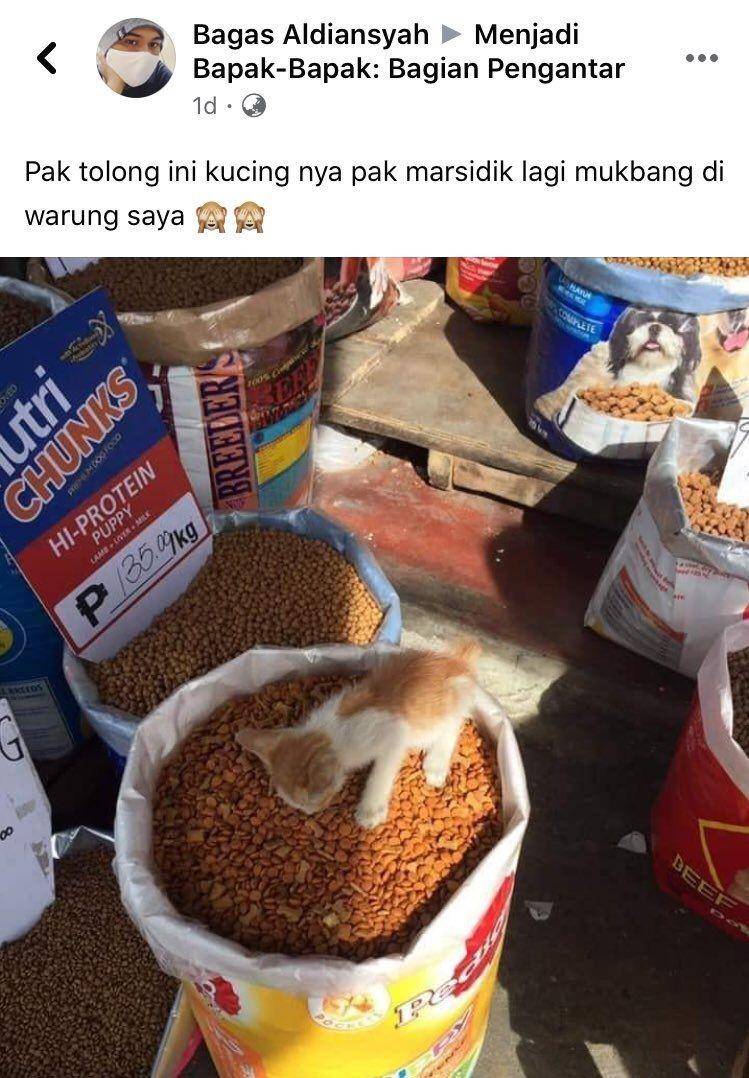 bapak-bapak curhat di medsos (twitter.com/saranghaeshopii)