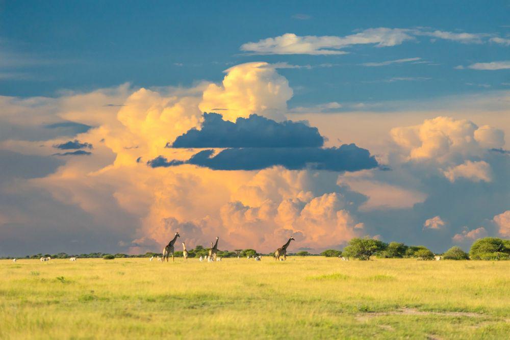 5 Wisata Alam Underrated di Dunia, Wajib Kamu Kunjungi di 2023