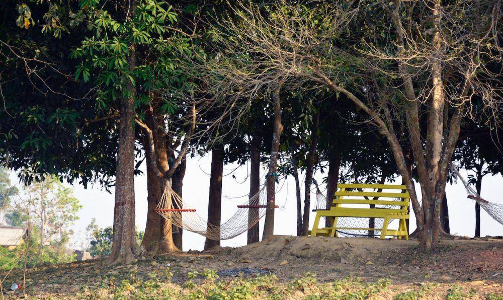 rekomendasi kursi taman belakang rumah (pexels.com/Jaiantha Bhattacharjee)