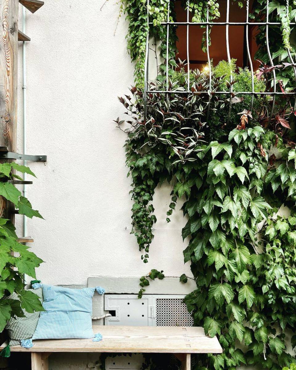 rekomendasi kursi taman belakang rumah (pexels.com/Sasha K)