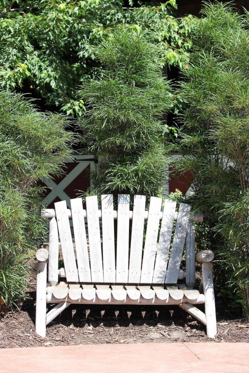 rekomendasi kursi taman belakang rumah (pexels.com/Tracy Elford)