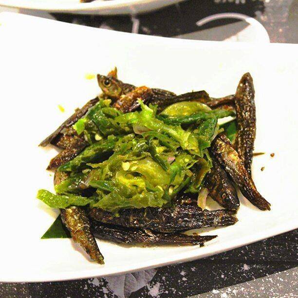 Potret ikan bilis lado hijau (instagram.com/marcopadang)