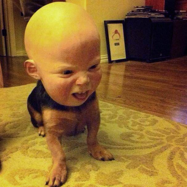 produk Halloween gagal (imgur.com)