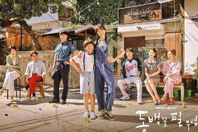 When the Camellia Blooms. (Soompi)