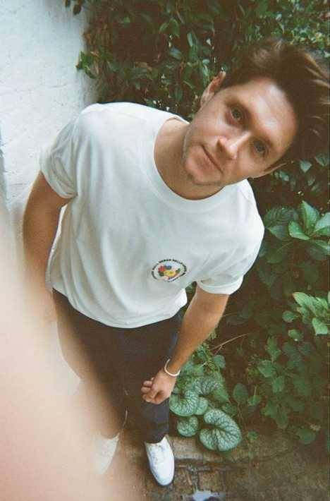Niall Horan (instagram.com/niallhoran)