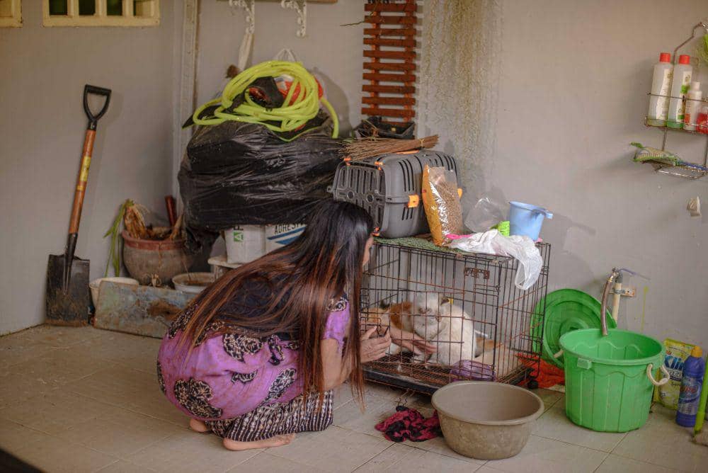 Di rumahnya, Geby memelihara kucing dan anjing untuk menemani hari-harinya saat tidak berkuliah/Iqbal lubis