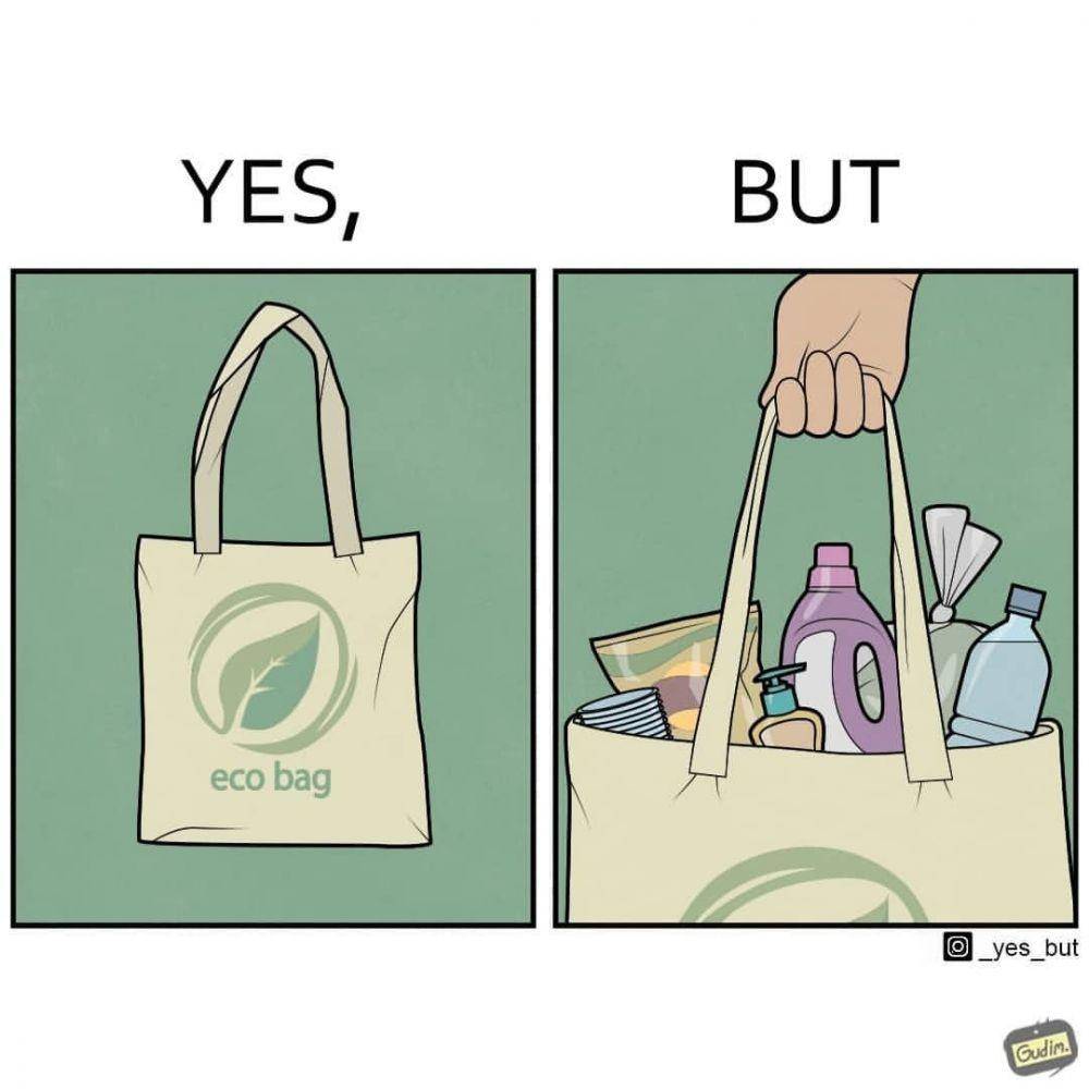 Ilustrasi ekspektasi vs. realita kehidupan. (instagram.com/gudim_public)