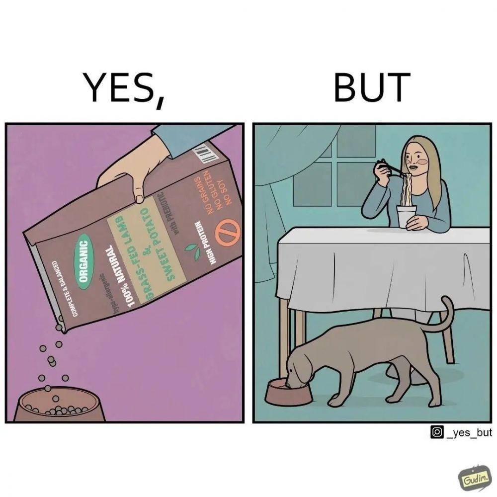 Ilustrasi ekspektasi vs. realita kehidupan. (instagram.com/gudim_public)