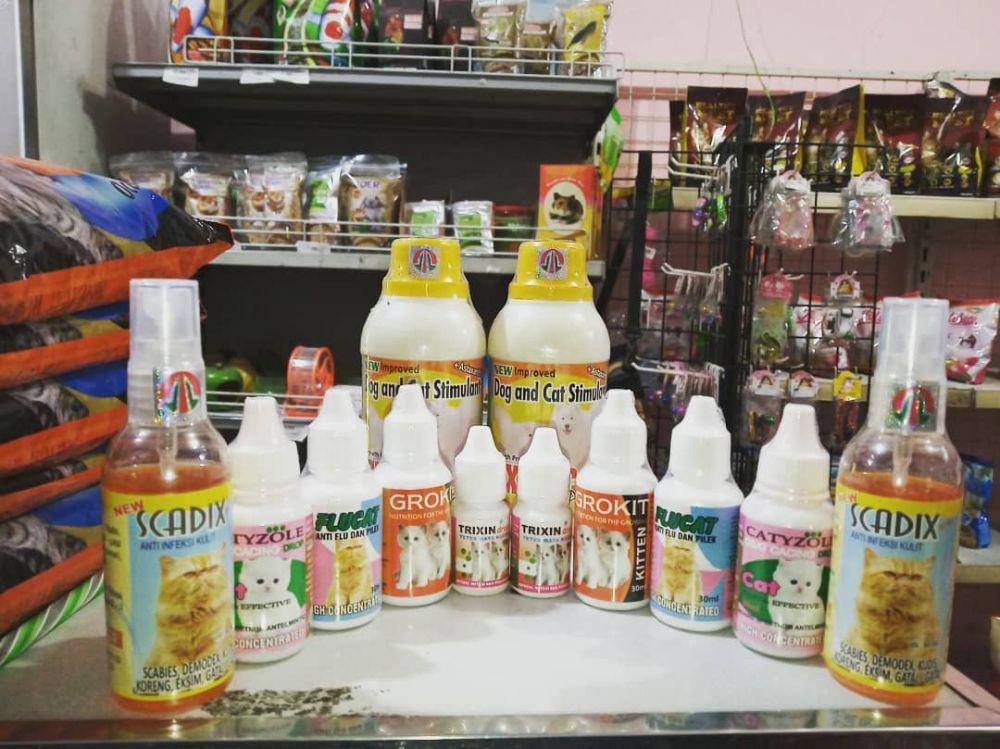 Petzy Petshop (instagram.com/petzypetstore)