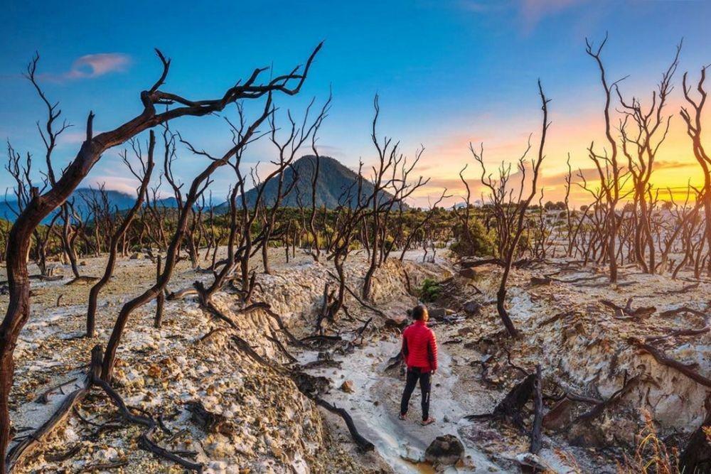 9 Alasan Kamu Wajib Mendaki Gunung Papandayan Sekali Seumur Hidup