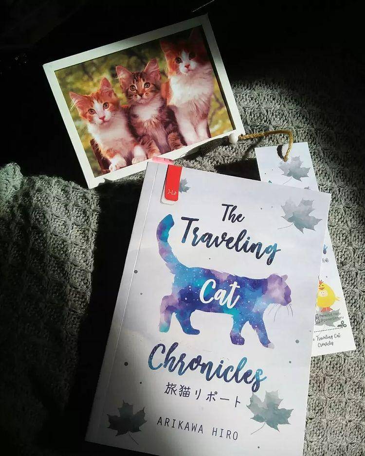 Buku The Travelling Cat Cronicles (instagram.com/tersarabaraa)