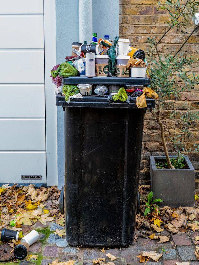 ilustrasi sampah (unsplash.com/the blowup)