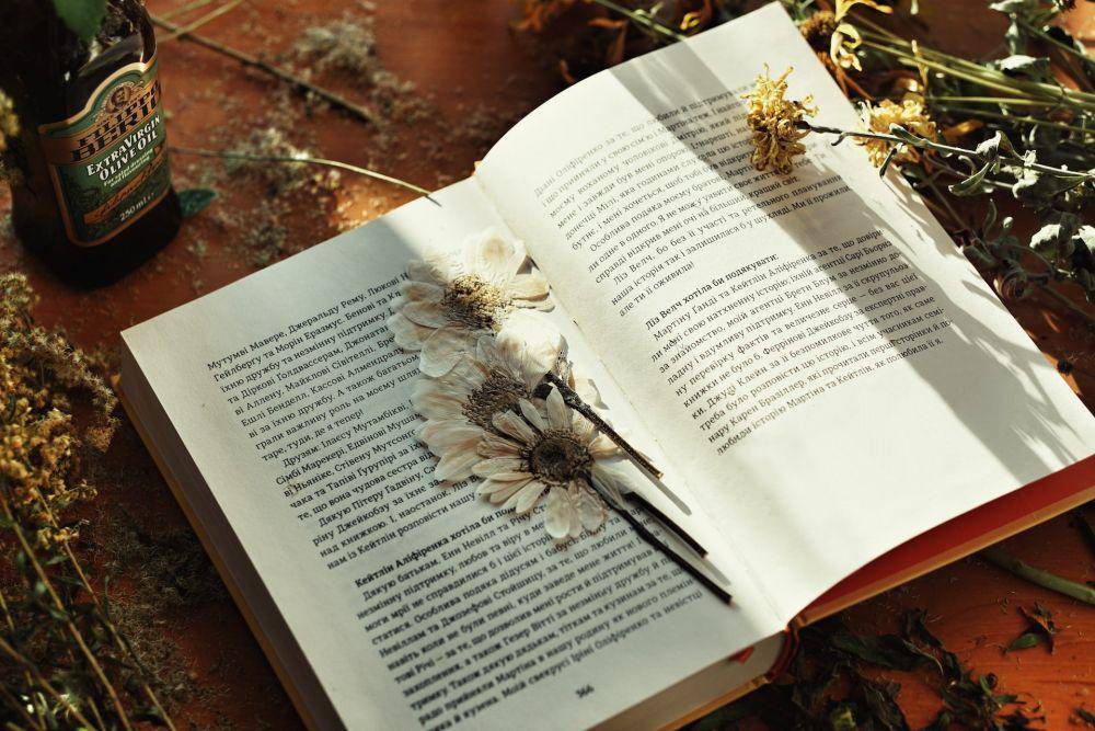 Ilustrasi novel (unsplash.com/Vika Strawberrika)