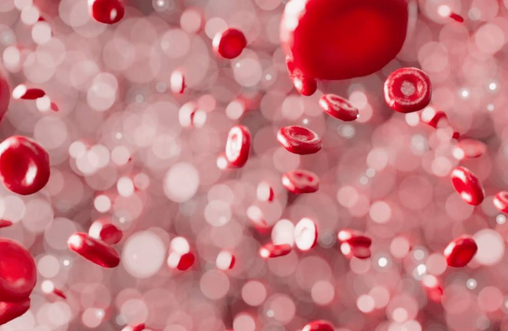ilustrasi sel darah merah (unsplash.com/ANIRUDH)