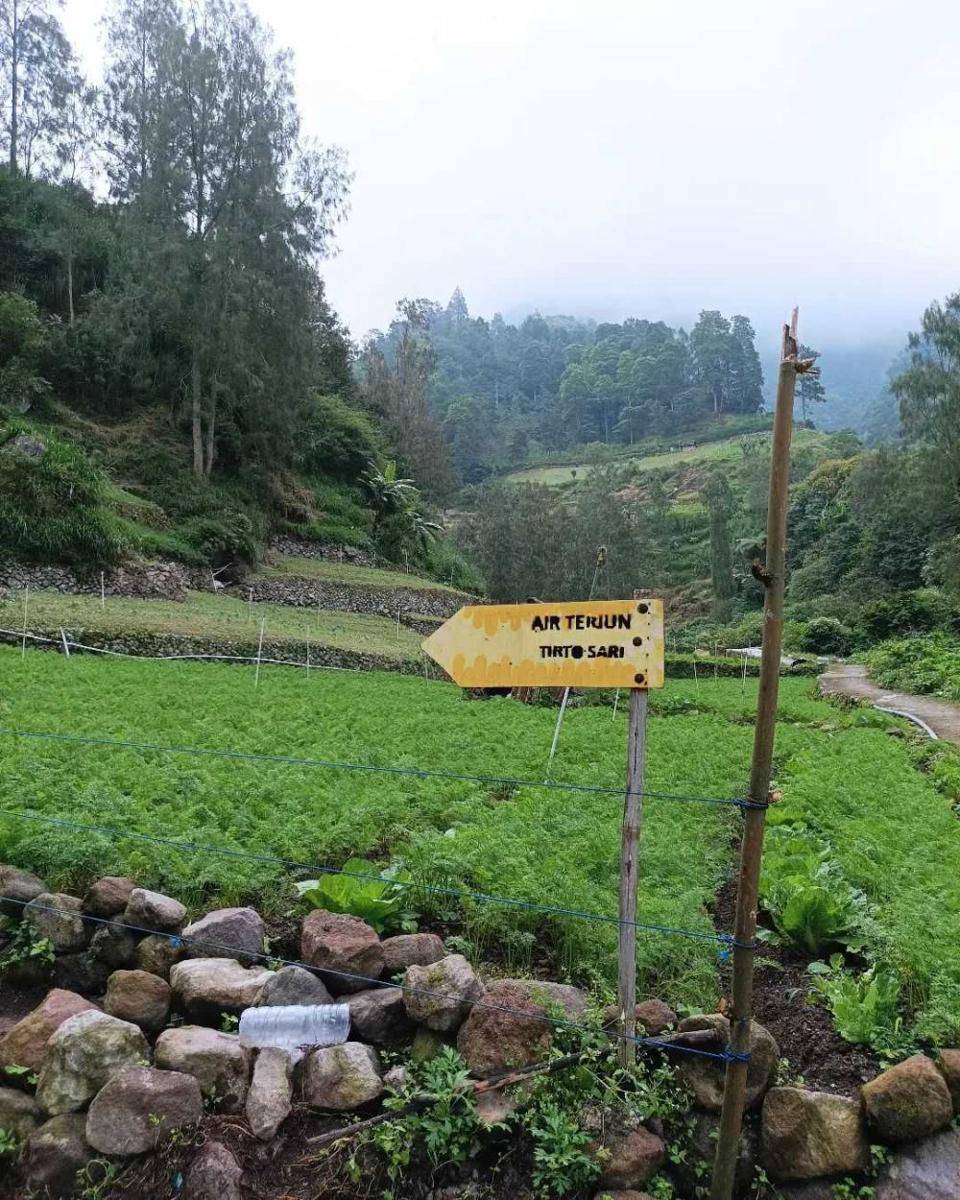 potret air terjun tirtosari (instagram.com/yesinura.ps)