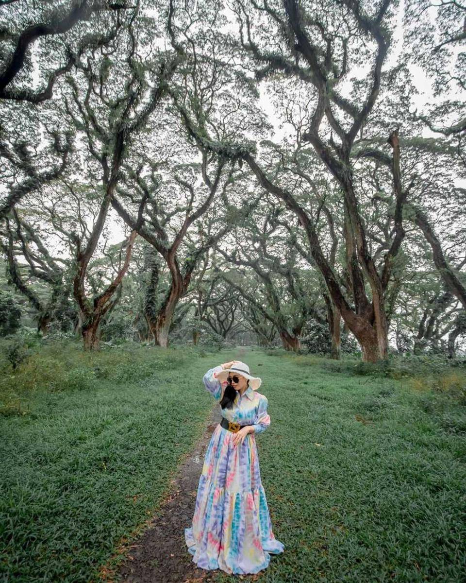 De Jawatan Forest Banyuwangi (instagram.com/yayukjuminten)