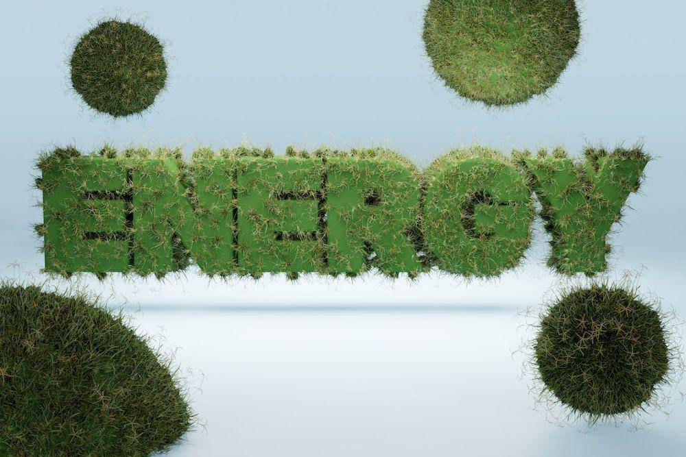 ilustrasi energi dari biomasa (pexels.com/Michal Rosak)