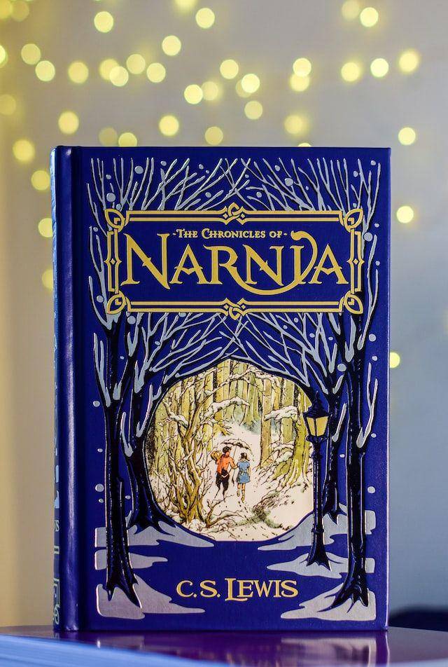 Ilustrasi novel The Chronicles of Narnia (unsplash.com/Tim Alex)