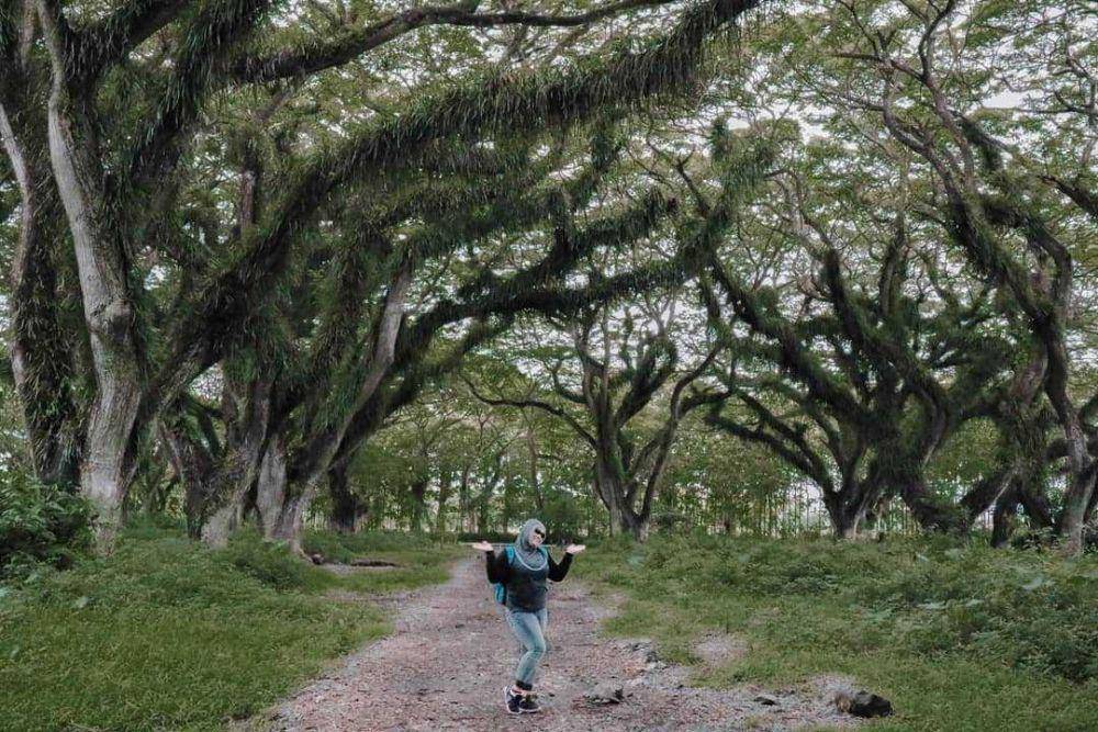 De Djawatan Forest (instagram.com/guidekece)