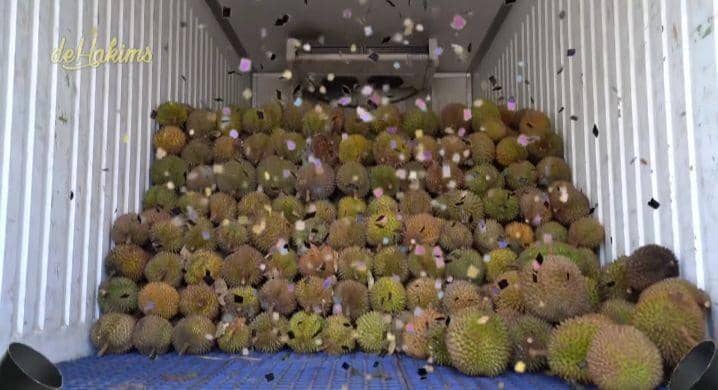 potret kejutan satu truk durian Irfan Hakim (instagram.com/deHakims)