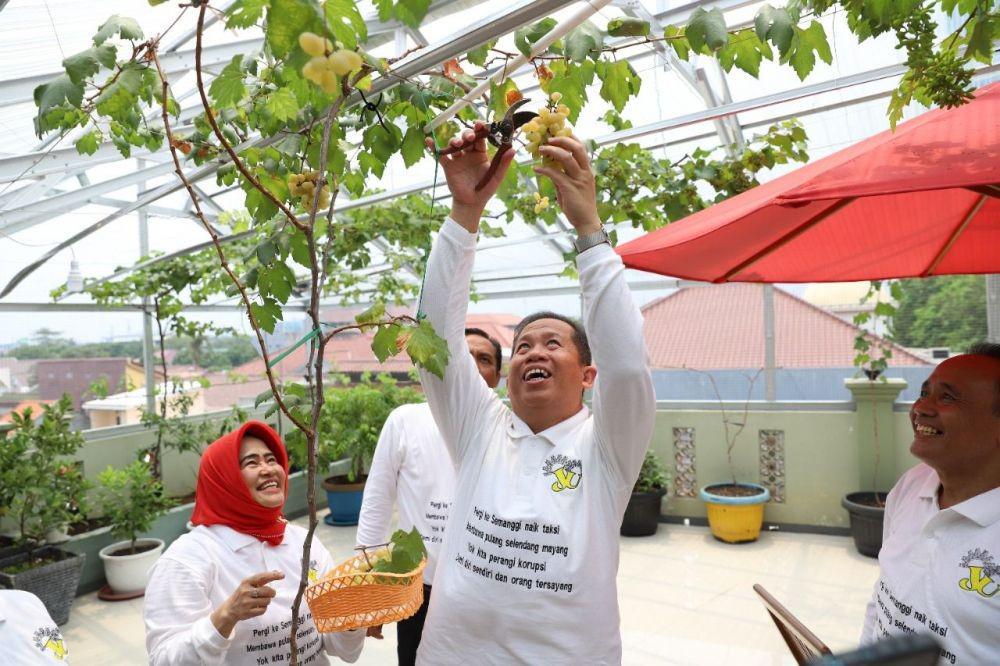Lahan Terbatas di Sekolah Jakarta Utara Didorong Jadi Urban Farming