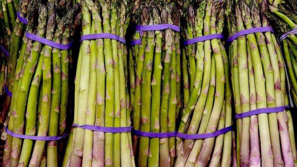 sayuran asparagus (pexels.com/Christopher Moon)