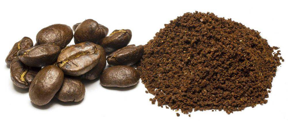 Ilustrasi kopi (Pixabay.com/Humusak)