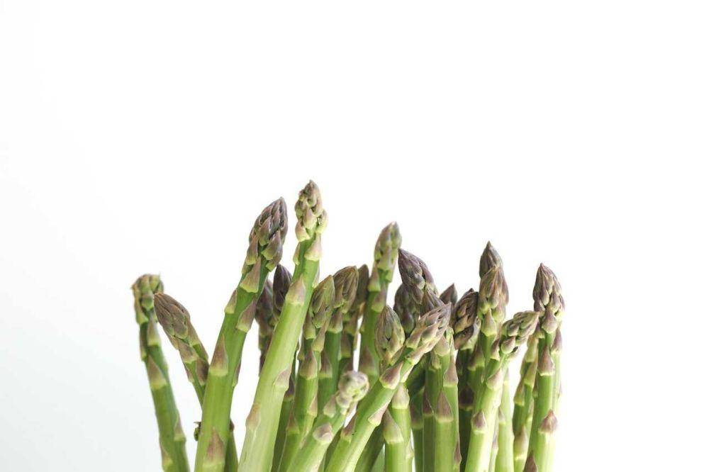 sayuran asparagus (pexels.com/Burst)