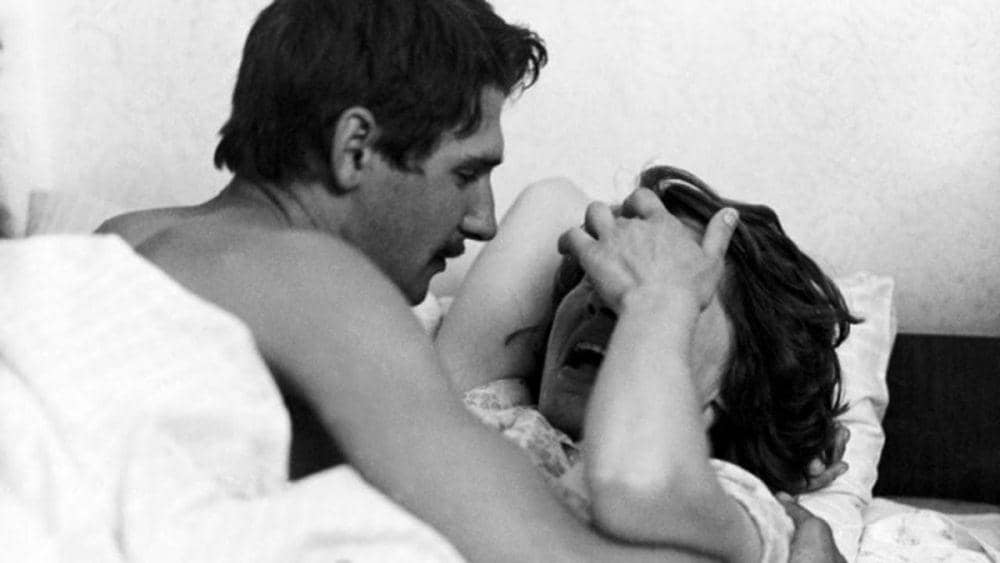 cuplikan film Family Nest (dok. Balázs Béla Stúdió/Family Nest)