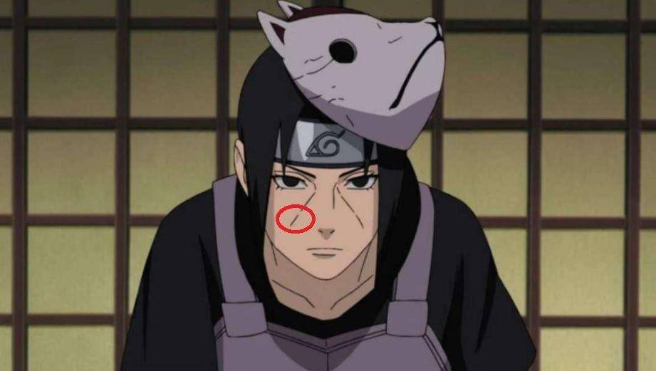 studio pierrot/Naruto