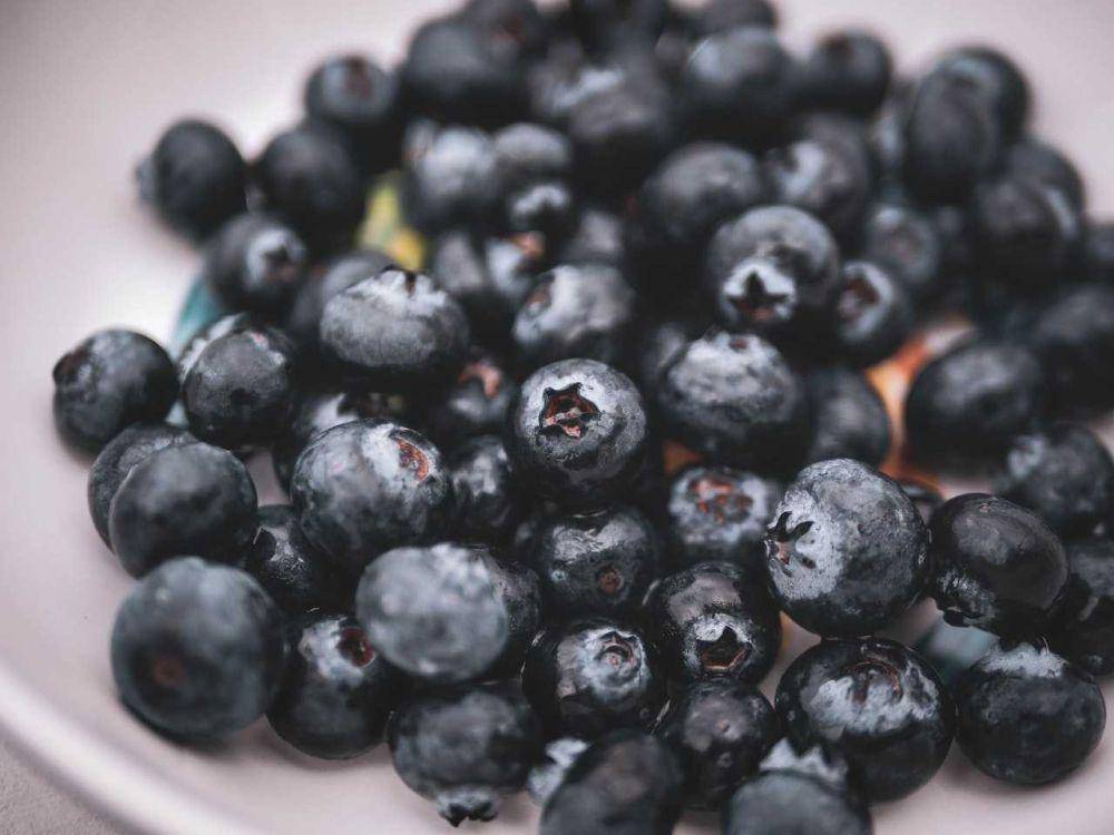 buah blueberry (pexels.com/Kristina Gain)