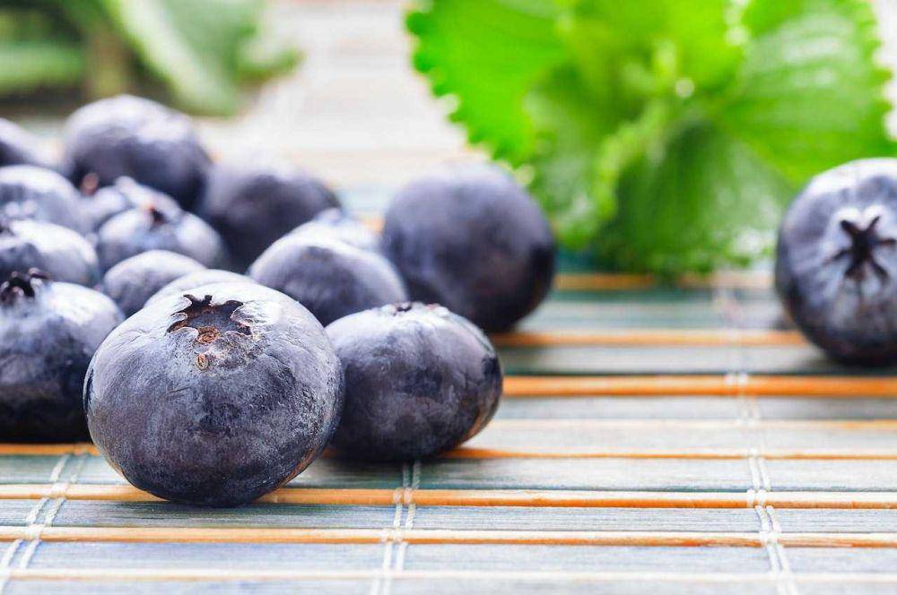 buah blueberry (pexels.com/