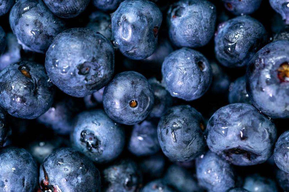 buah blueberry (pexels.com/Kelly)