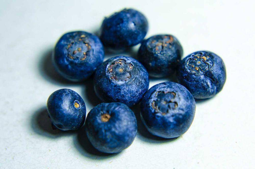 buah blueberry (pexels.com/Bruno Scramgnon)
