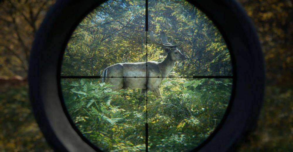 dok. Xbox/theHunter: Call Of The Wild