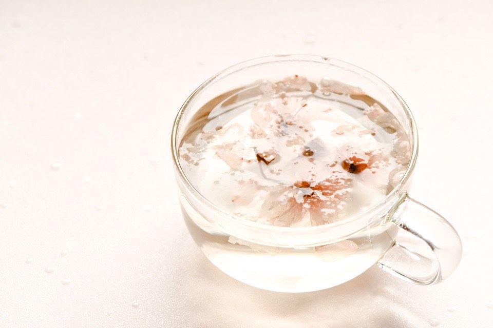 5 Fakta Unik Sakurayu, Teh Khas Jepang Simbol Lembaran Baru