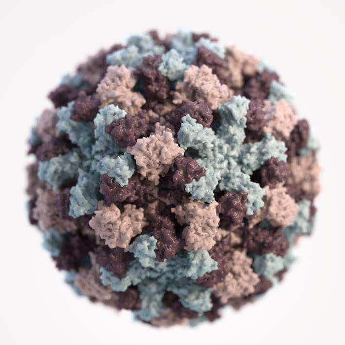 ilustrasi norovirus (commons.wikimedia.org/CDC / Jessica A. Allen, Illustrator: Alissa Eckert, MS)