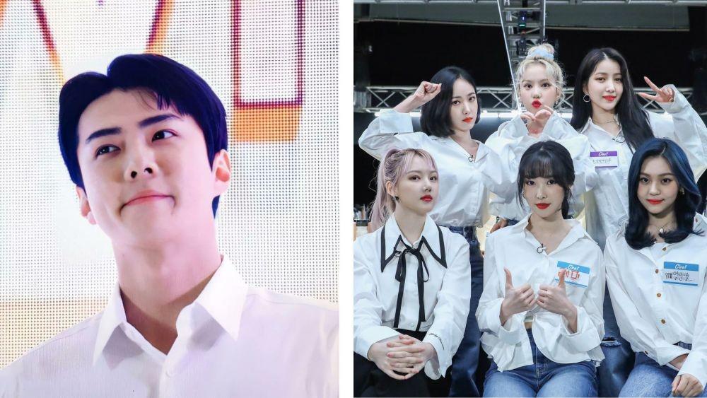 Sehun dan 4 Artis Korea yang Pernah Fanmeet Gratis di Mall Indonesia