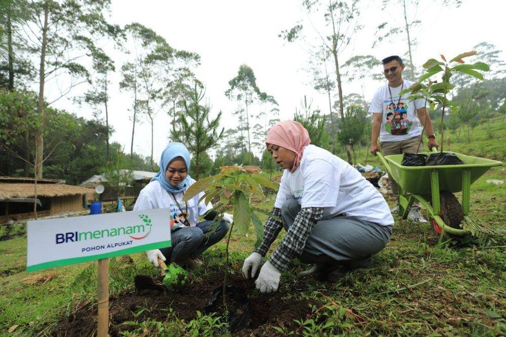 BRI Menanam. (Dok. BRI)