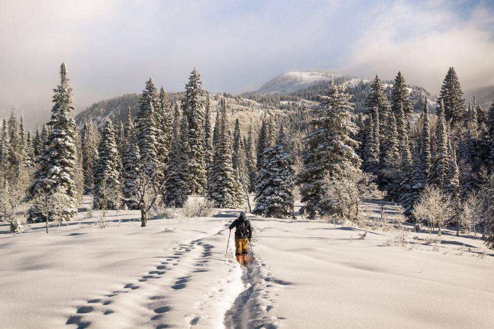 Potret Steamboat Springs di California, Amerika Serikat (unsplash.com/chrisholder)