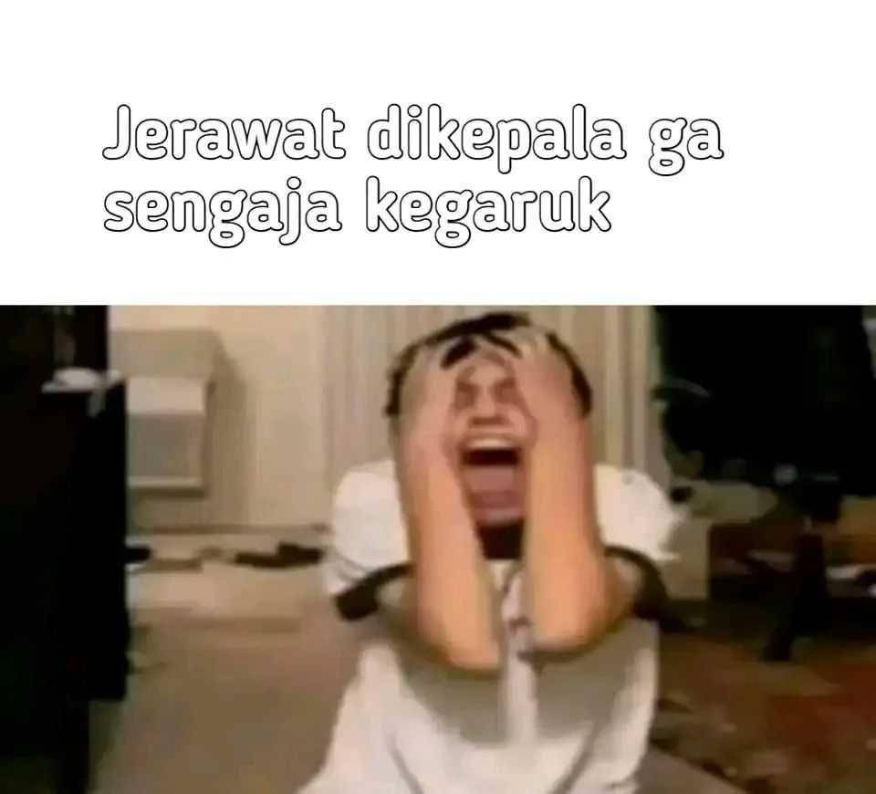 meme geregetan (instagram.com/animeme_48)
