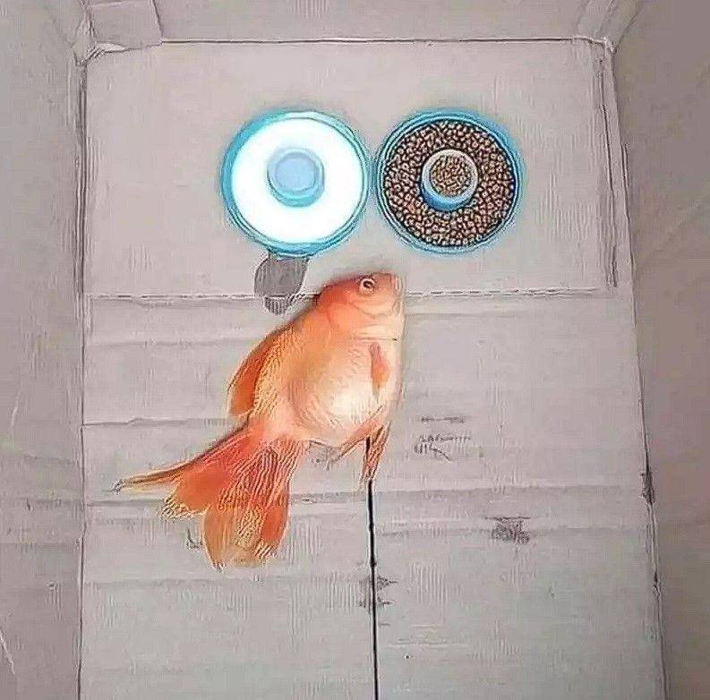 bapak-bapak hobi pelihara ikan (instagram.com/redaksiana)