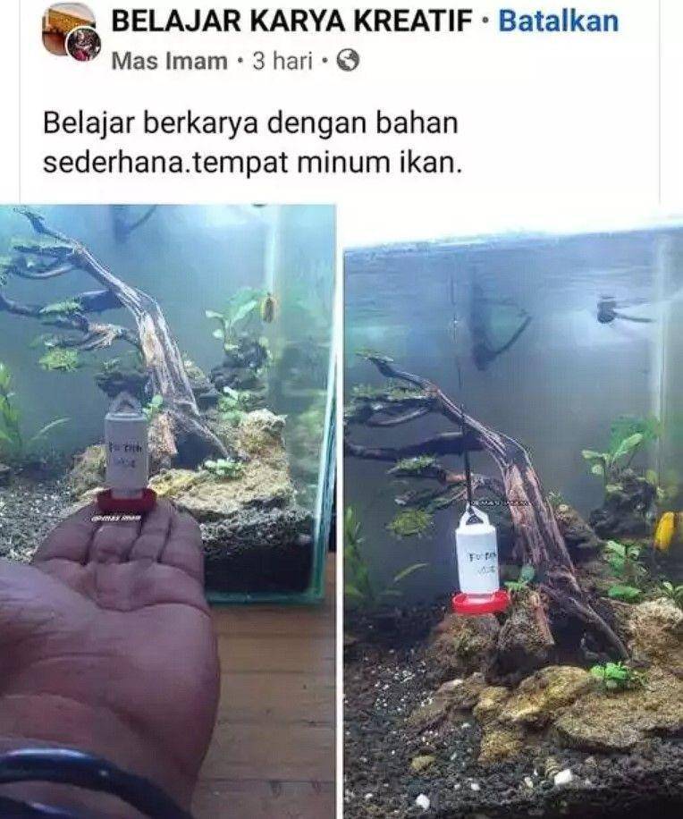 bapak-bapak hobi pelihara ikan (facebook.com/letstololagain)