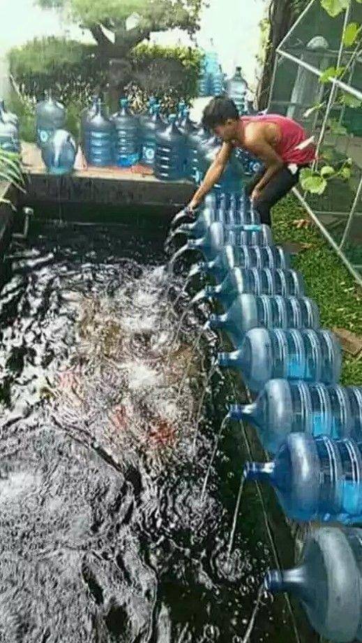 bapak-bapak hobi pelihara ikan (instagram.com/wkwkland_real)