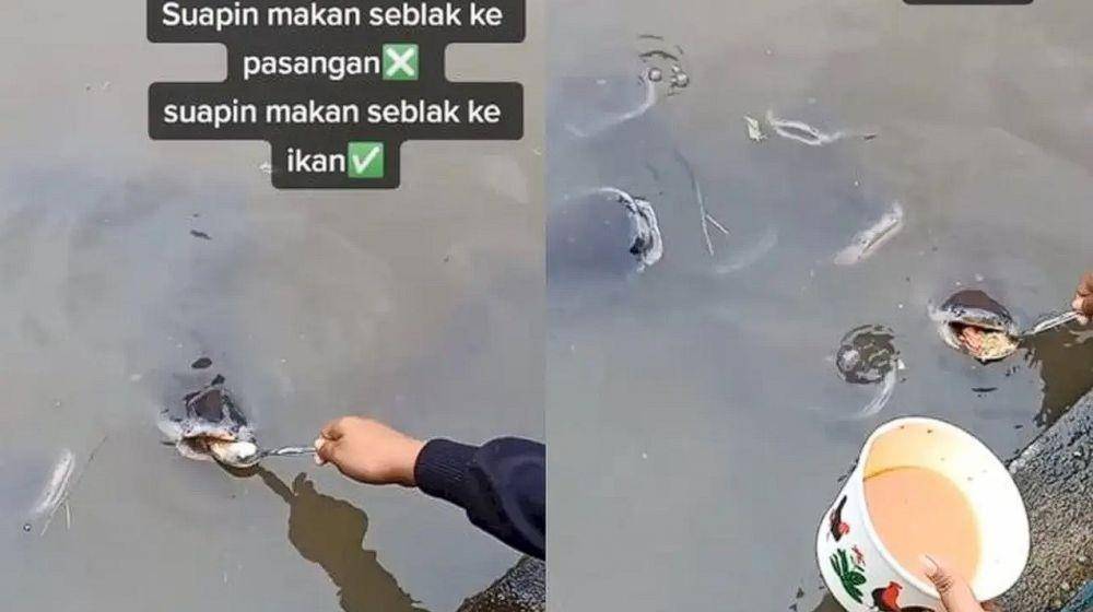 bapak-bapak hobi pelihara ikan (tiktok.com/@haii.cewek)