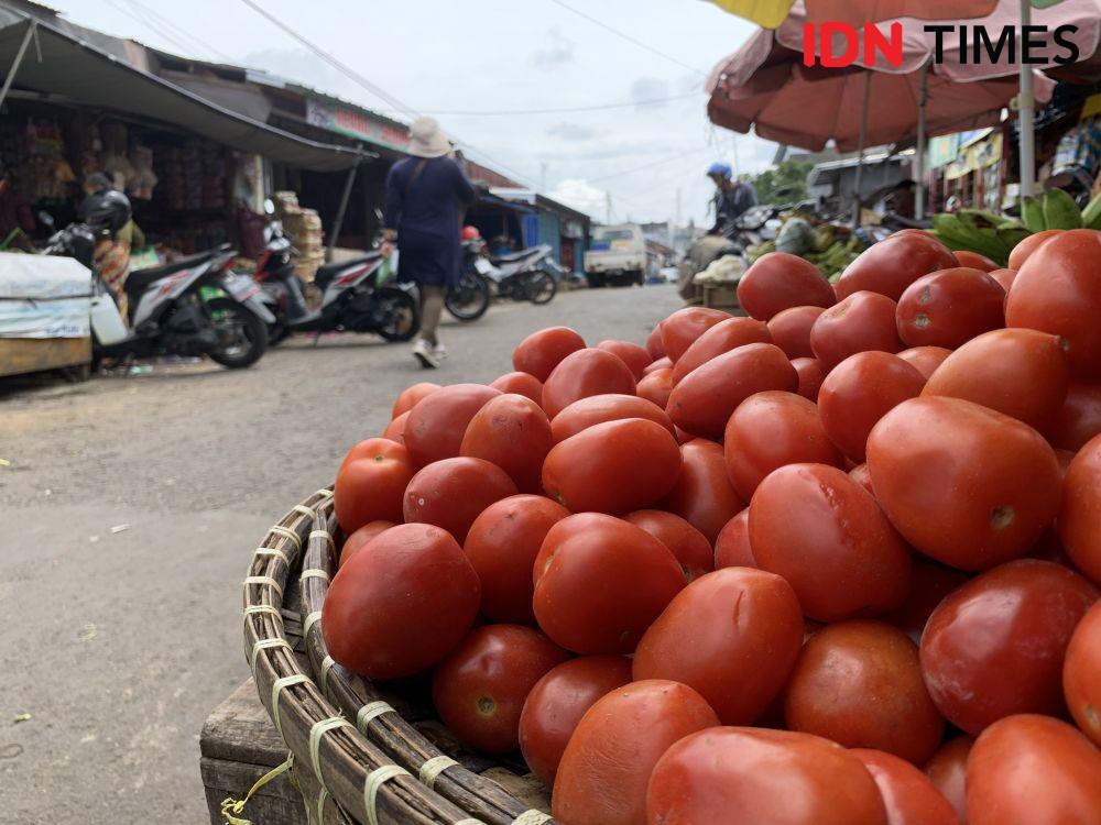 Harga Tomat Besar Meroket, Nyaris Dua Kali Lipat dari Harga Normal